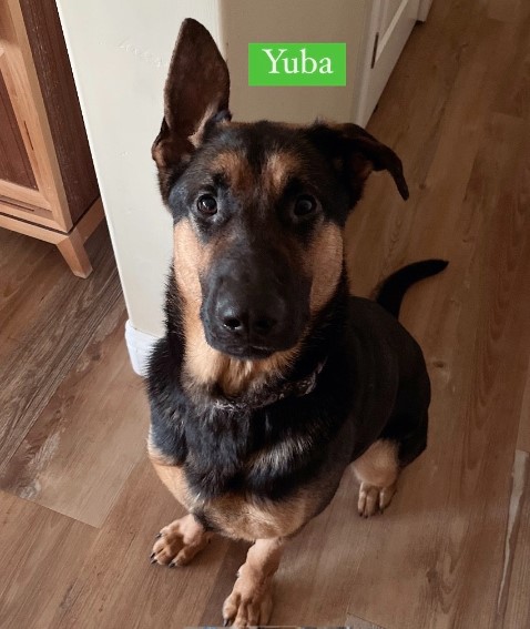 Yuba